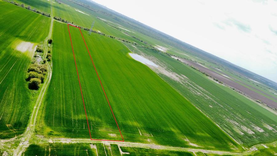 Teren Construcții extravilan de 10000 mp, în Căciulați