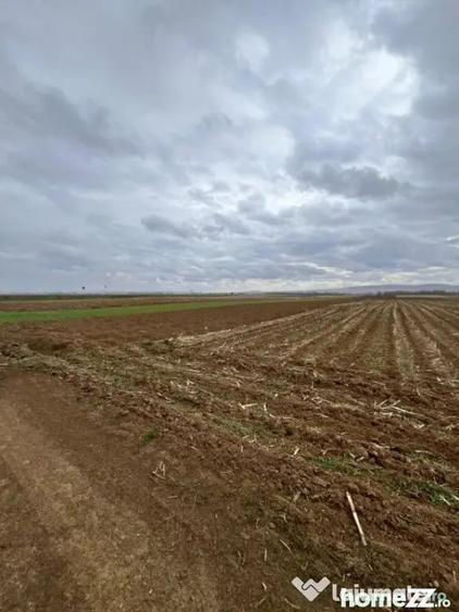 Teren de 2500 mp, în Horodnic