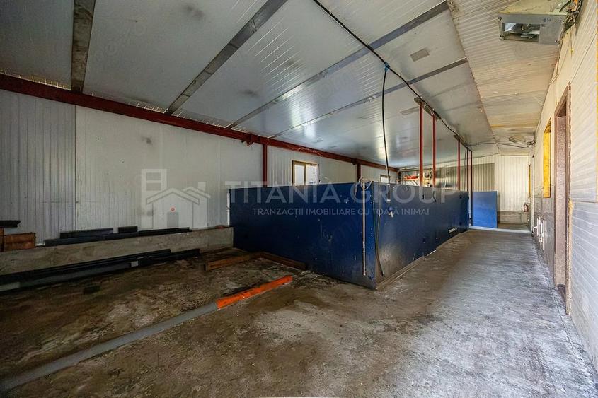 Casă cu 4 camere cu Teren 6000 Mp în Lunca Mărcușului