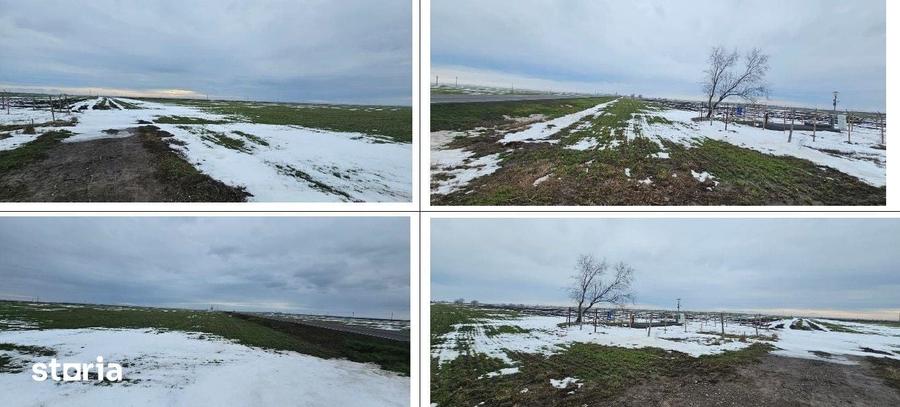 Teren de 20000 mp, în Dragalina