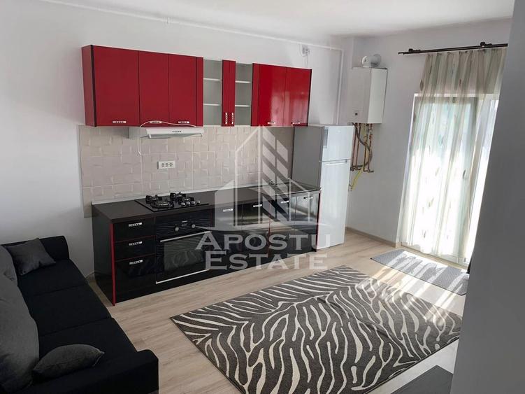 Apartament cu 2 camere decomandat, mobilat în Remetea Mare