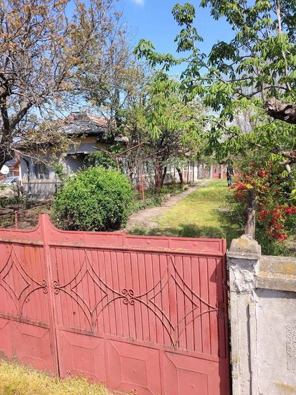 Casă cu Teren 1562 Mp în Osica de Sus