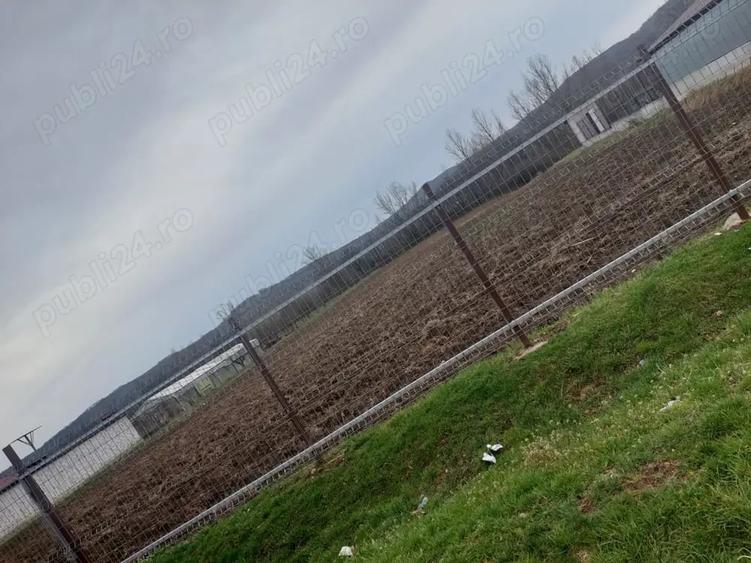 Teren în Popești