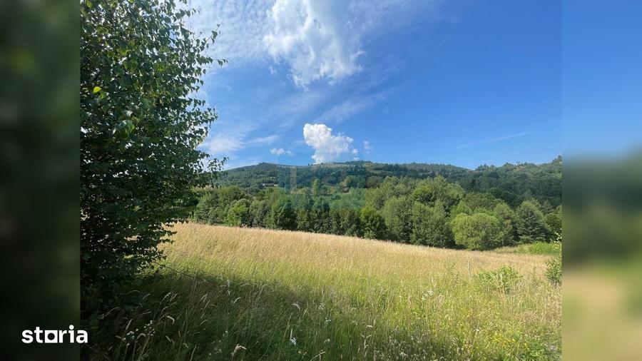 Teren de 20000 mp, în Săcuieu