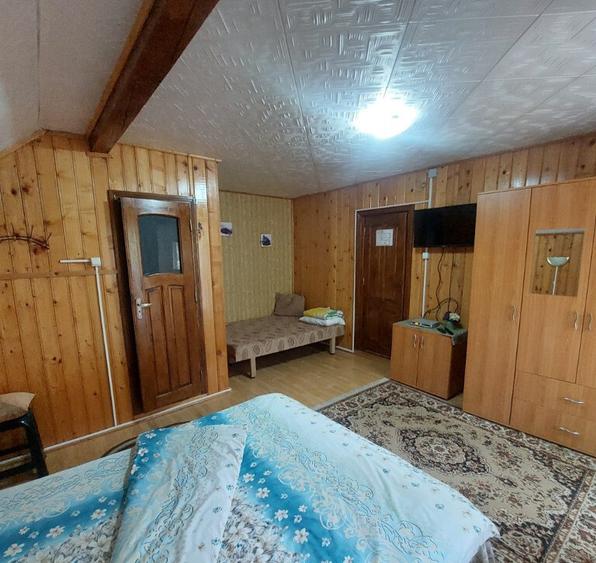 Spațiu comercial, de 450 mp, în Lepșa