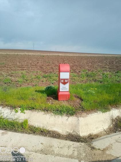 Teren de 5000 mp, în Dancu