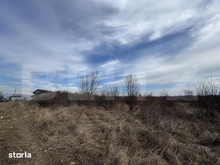 Teren extravilan de vanzare, 15.000 mp, zona Narcise II - 2
