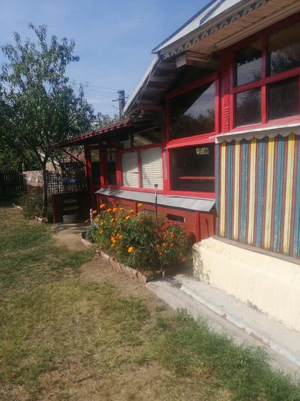 Casă cu 3 camere cu Teren 5000 Mp în Dienci