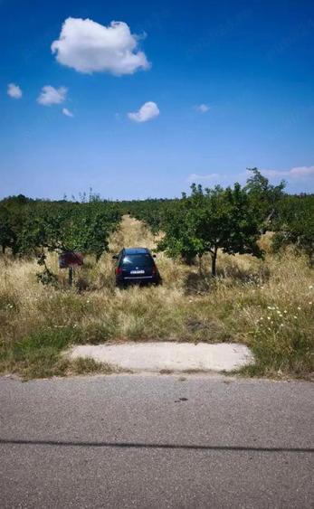Teren de 9177 mp, în Ceretu