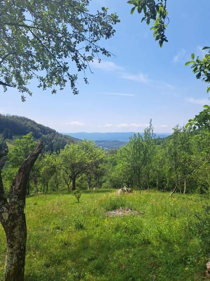 Casă cu 2 camere în Hălmagiu