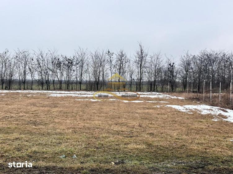 Teren de 900 mp, în Săucești