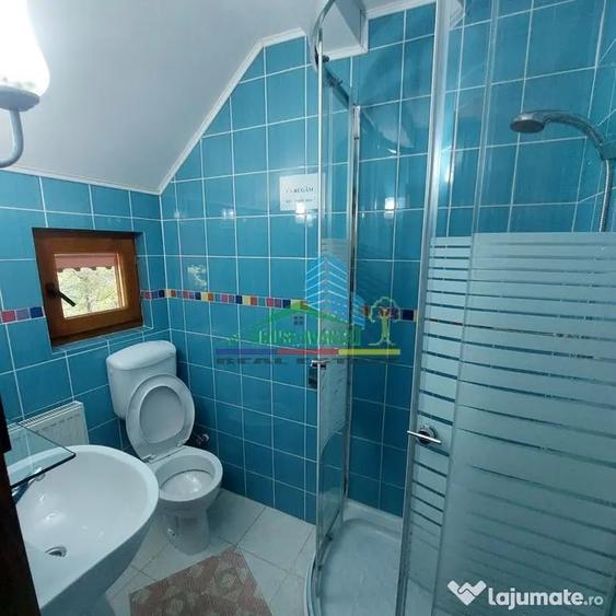 Spațiu comercial, de 450 mp, în Lepșa