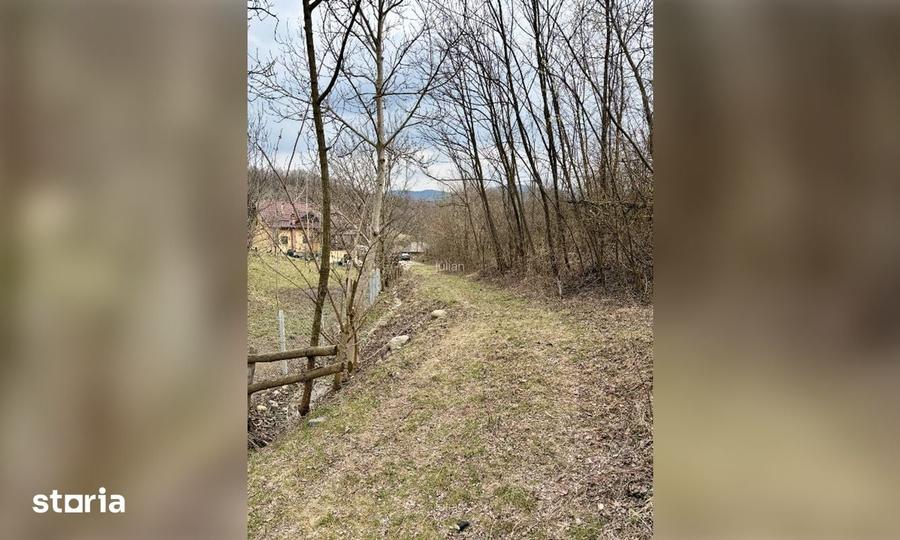 Teren de 3300 mp, în Sălătrucel