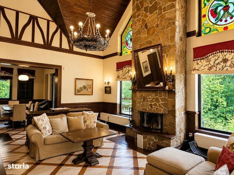 Mountain Chalet | Private Resort | Investment - Nistoresti - 6