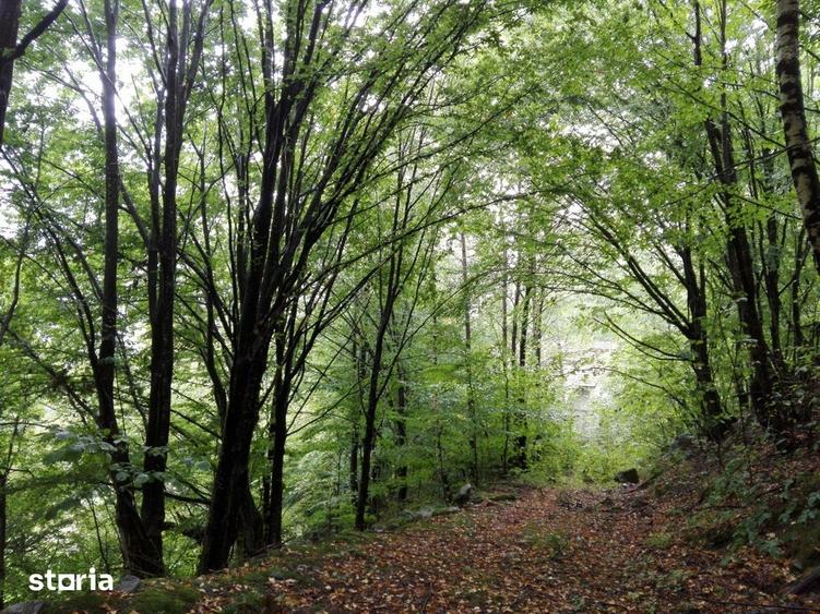 Teren de 5700 mp, în Râu de Mori