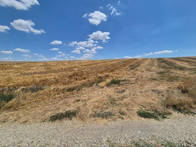Teren Construcții extravilan de 6500 mp, în Frumușani