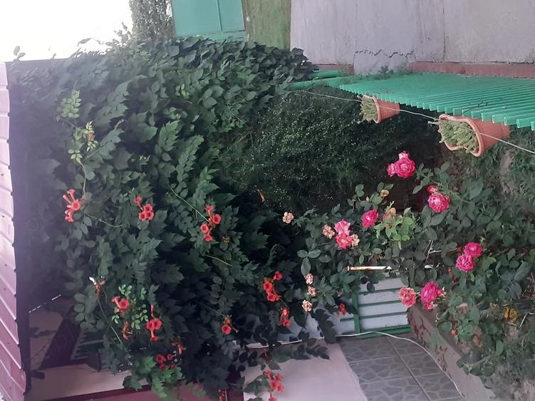 Casă cu 3 camere cu Teren 917 Mp în Iohanisfeld