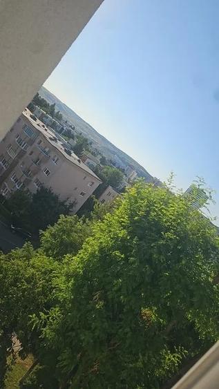 Apartament cu 2 camere decomandat, mobilat în Mănăștur