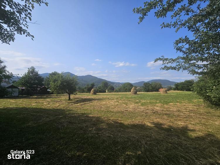 Teren de 1000 mp, în Alexandru cel Bun