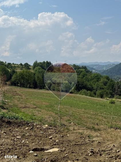 Teren de 1000 mp, în Central