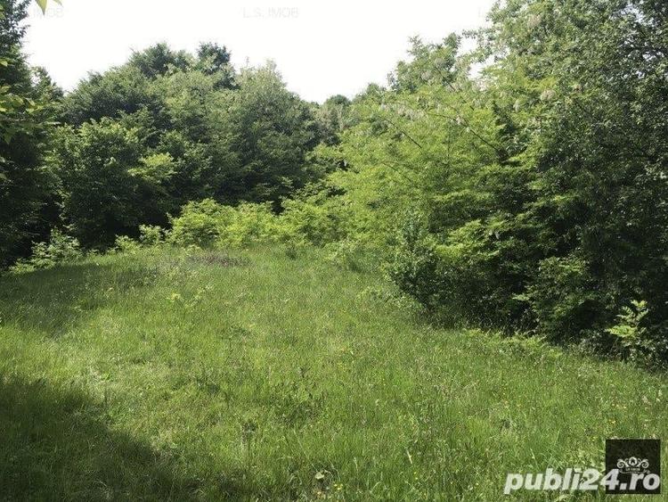 Teren de 14600 mp, în Albești