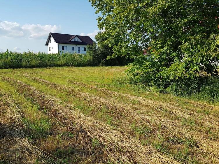 Teren Construcții intravilan de 3399 mp, în Sud