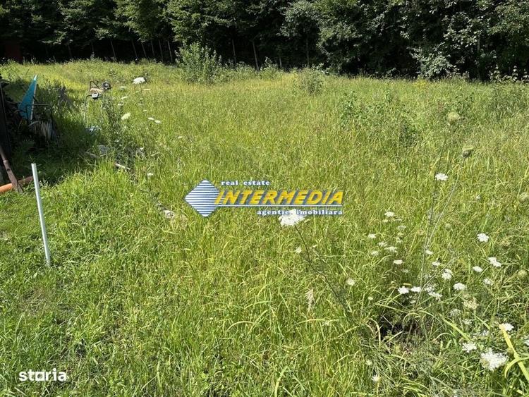 Spațiu comercial, în Micești