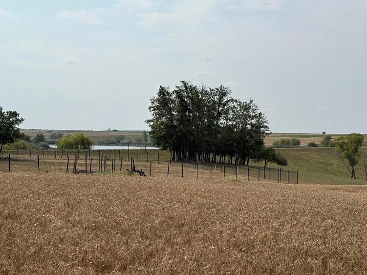 Teren intravilan Miersig, vedere la lac. 12,5 E/mp neg. Comision 0 - 7