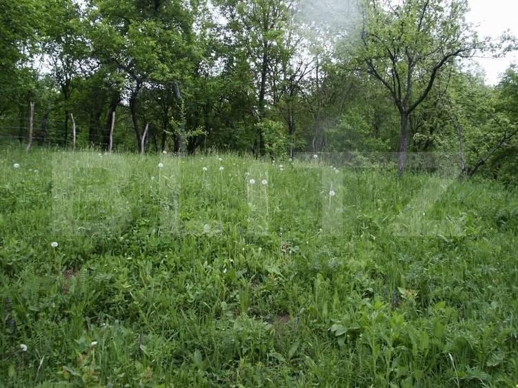 Teren Construcții intravilan de 884 mp, în Fieni