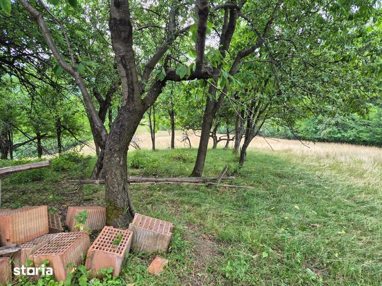 Teren de 21537 mp, în Noua