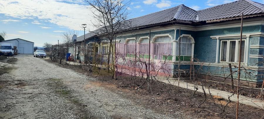 Proprietate specială, de 420 mp, în Falaștoaca