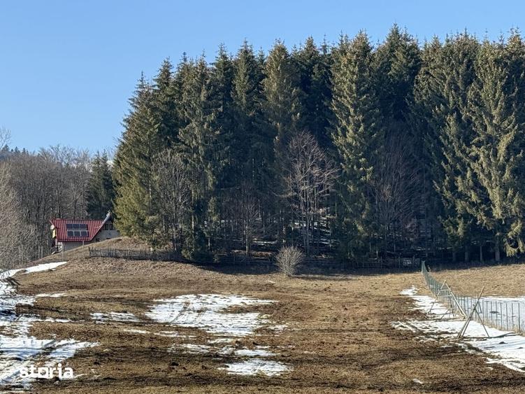Teren de 4521 mp, în Valea Doftanei