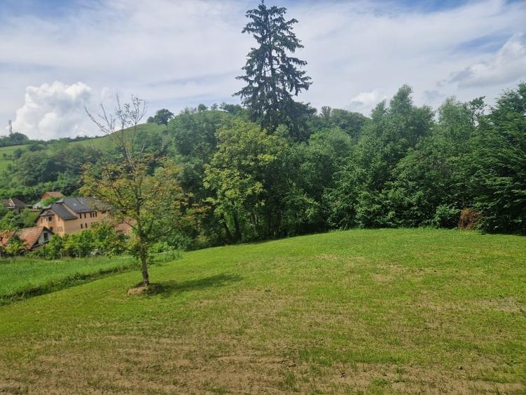 Teren Construcții intravilan de 2100 mp, în Est