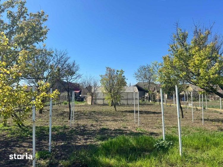 Casă cu 4 camere cu Teren 1536 Mp în Variaș