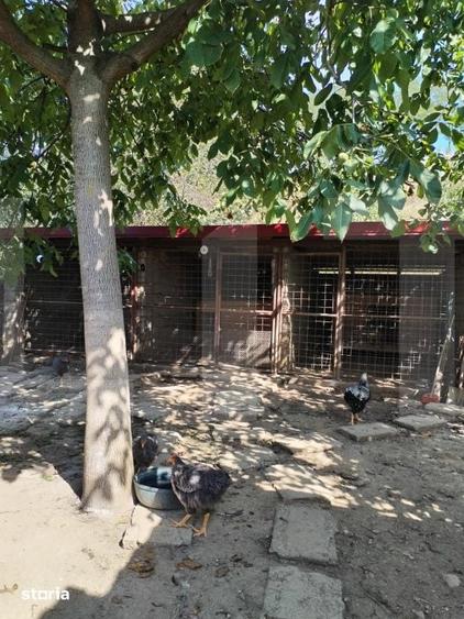 Casă cu 5 camere cu Teren 1337 Mp în Belin