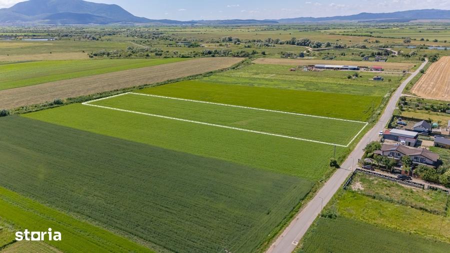 Teren de 9300 mp, în Stupini