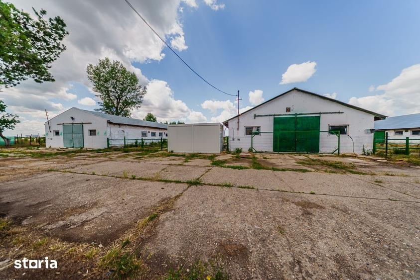 Teren de 76559 mp, în Central