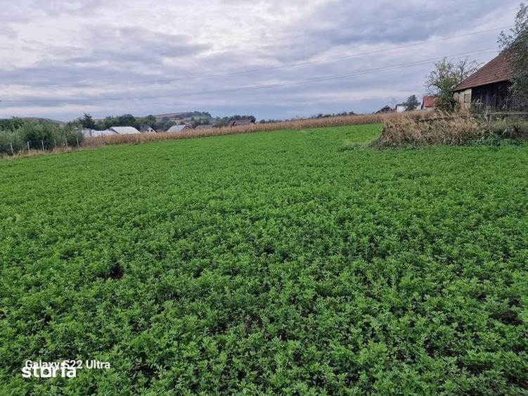 Vand teren intravilan 3500mp,sat Costana, com Todiresti - 4
