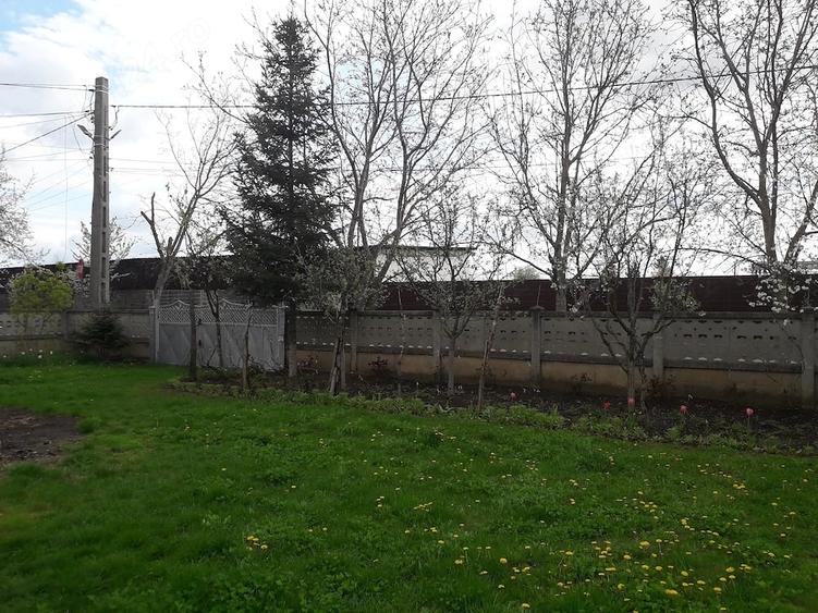 Teren de 1150 mp, în Central