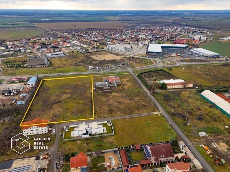Teren Construcții intravilan de 10000 mp, în Vladimirescu