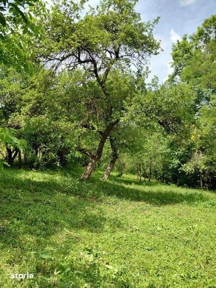 Casă cu 2 camere cu Teren 80 Mp în Poieni