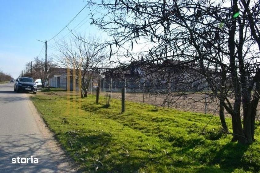 Teren de 5600 mp, în Sălcioara