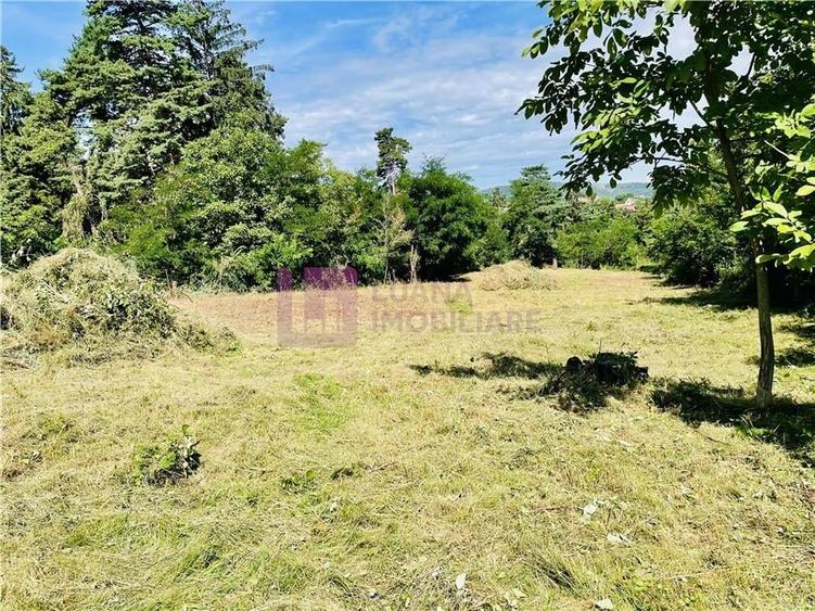 Teren Construcții intravilan de 3581 mp, în Vale