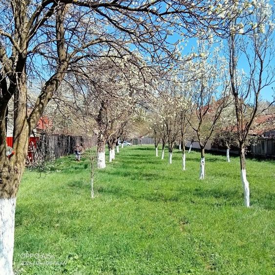 Teren de 2030 mp, în Tărlungeni