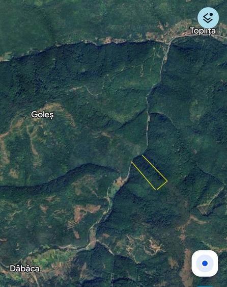 Teren de 48000 mp, în Goleș