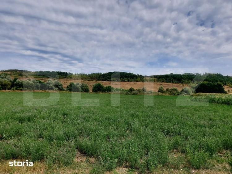 Teren de 27500 mp, în Iclod