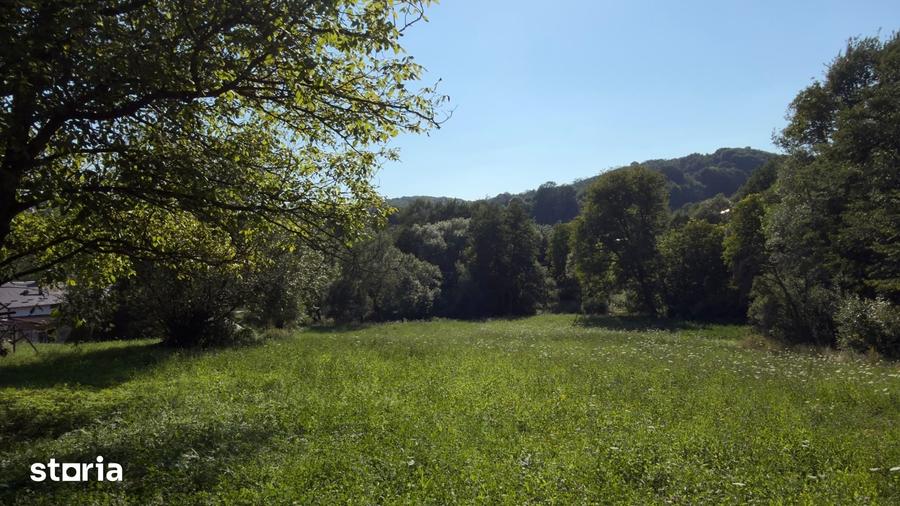 Teren Parau | Valea Danului, Curtea de Arges | Vidraru | - 9