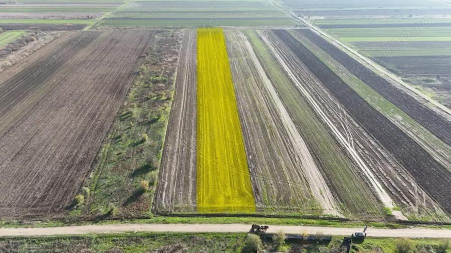 Teren de 10000 mp, în Gulia