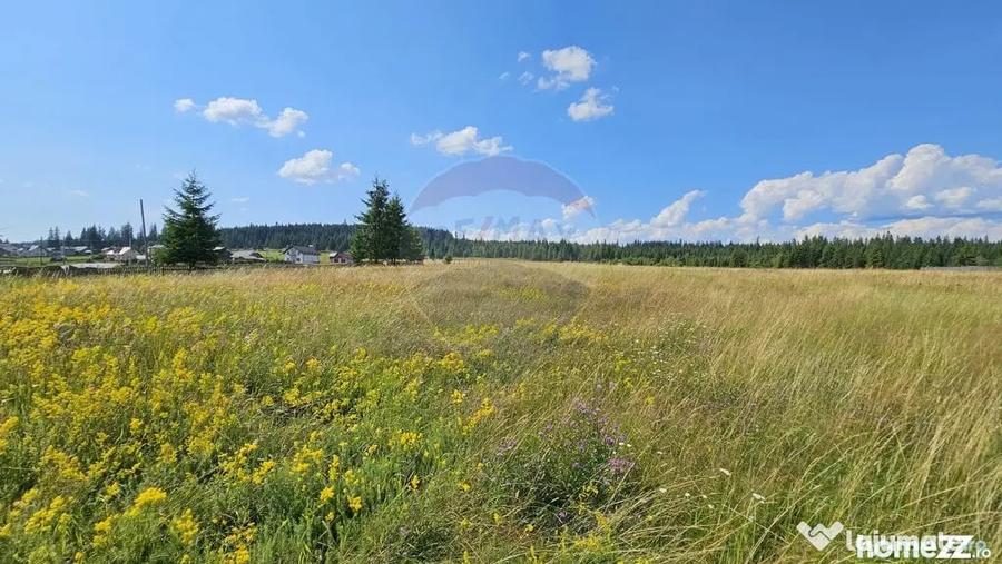 Teren de 30930 mp, în Poiana Stampei