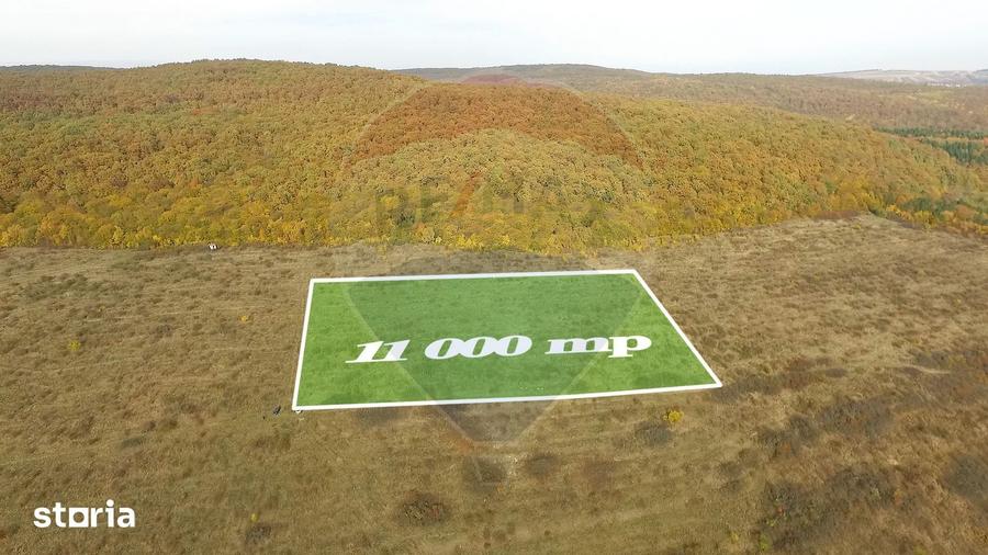 Teren de 11000 mp, în Mera